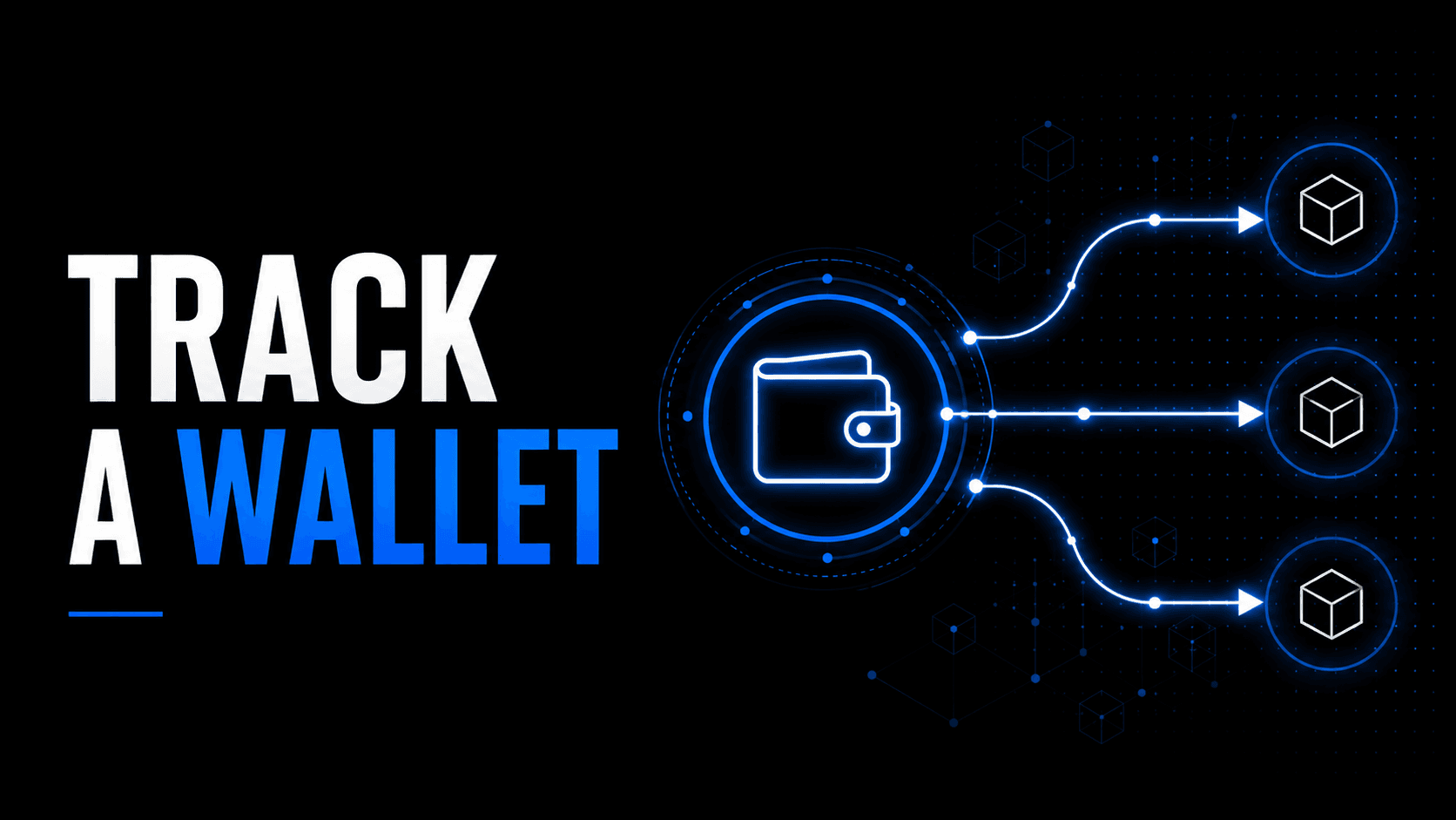 Blockchain wallet with transaction paths connecting to multiple addresses